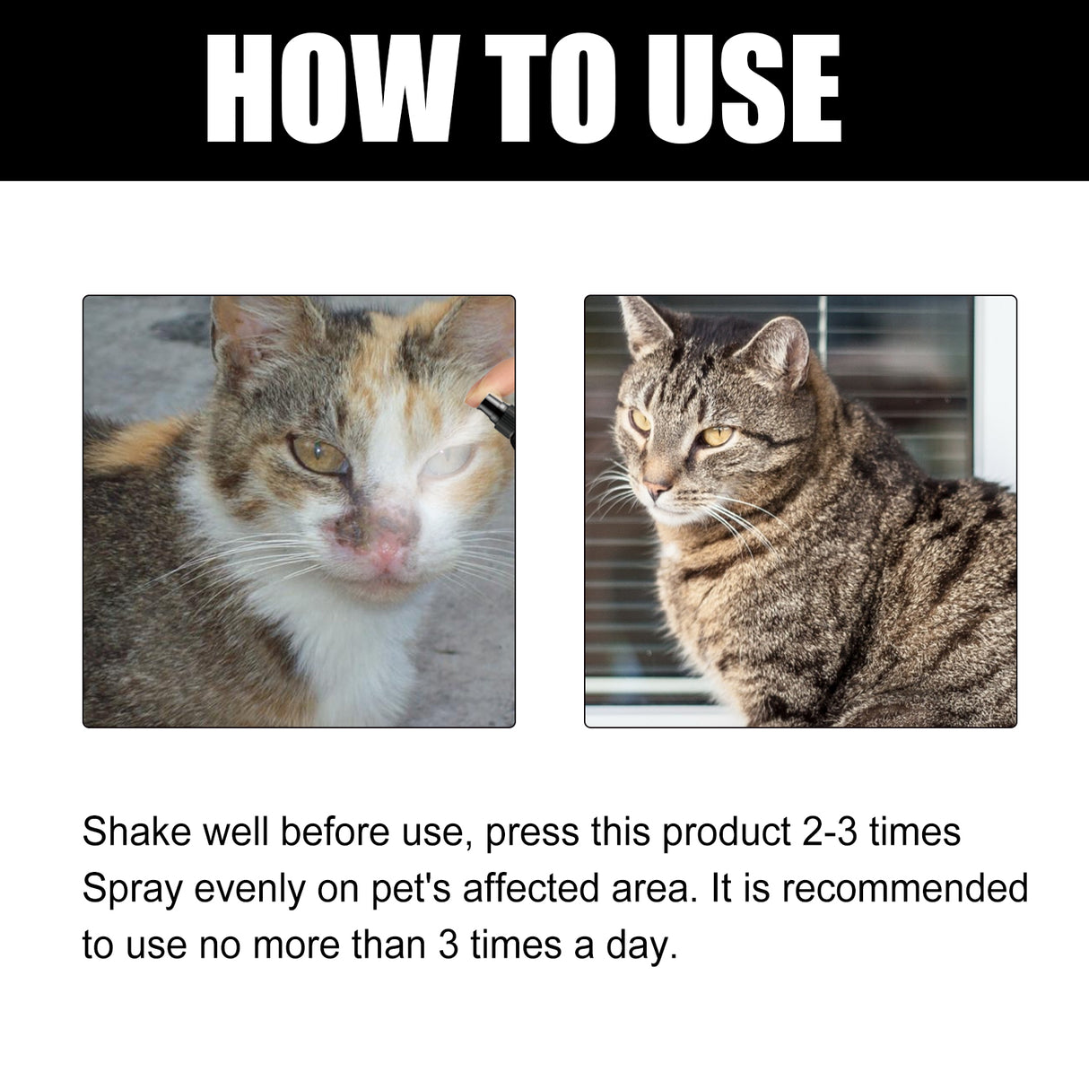 Cat Ringworm Spray, Pet Cats Anti-Mite Cat Moss Care Skin External Use Anti-Itch Spray - V.I.P Digital Presence