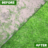 Degradable lawn seedling mat (10×0.7ft) for playgrounds, flower beds, greenhouse landscapes. - V.I.P Digital Presence