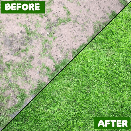 Degradable lawn seedling mat (10×0.7ft) for playgrounds, flower beds, greenhouse landscapes. - V.I.P Digital Presence