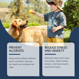 Food Supplement For Dogs, Immune-Boosting Healthy Dietary Supplement For Dogs - V.I.P Digital Presence