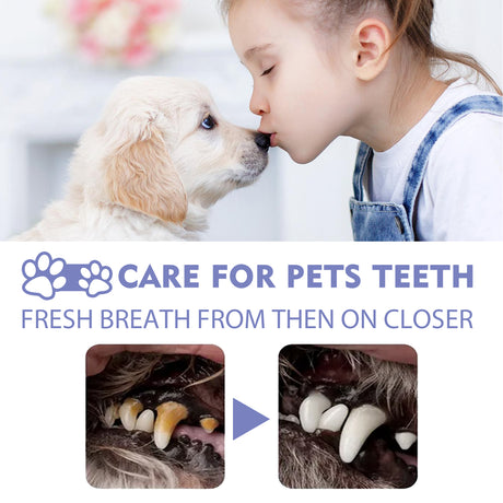 Dog And Cat Tooth Cleaning Spray, Pet Mouth Cleaning Breath Fresh Deodorizing Cleaning Spray - V.I.P Digital Presence