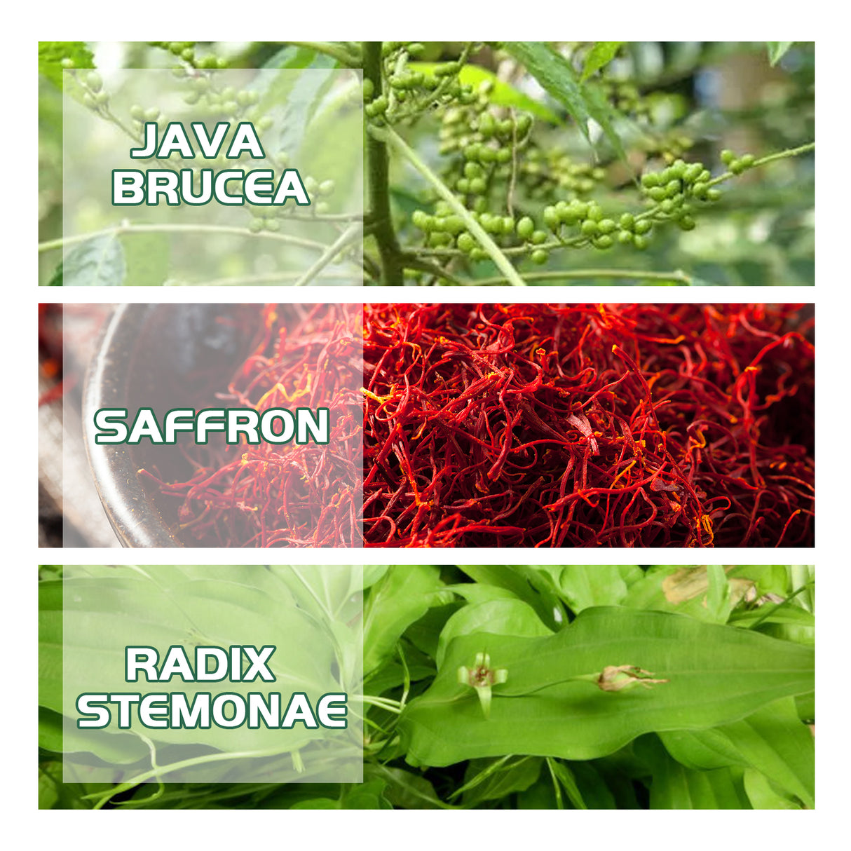 Vitiligo Relief Cream, Repair White Spots Flower Spots Skin Topical Care Ointment - V.I.P Digital Presence