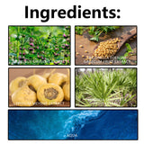 Curve Enhancing Cream, Sculpting The Hips And Firming The Curves Of The Body