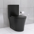 Matte Black Elongated One Piece Toilet Dual Flush 1.1/1.6 GPF Water Saving Map 1000g,Matte Black - V.I.P Digital Presence