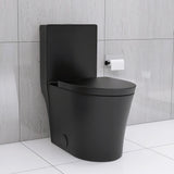 Matte Black Elongated One Piece Toilet Dual Flush 1.1/1.6 GPF Water Saving Map 1000g,Matte Black - V.I.P Digital Presence