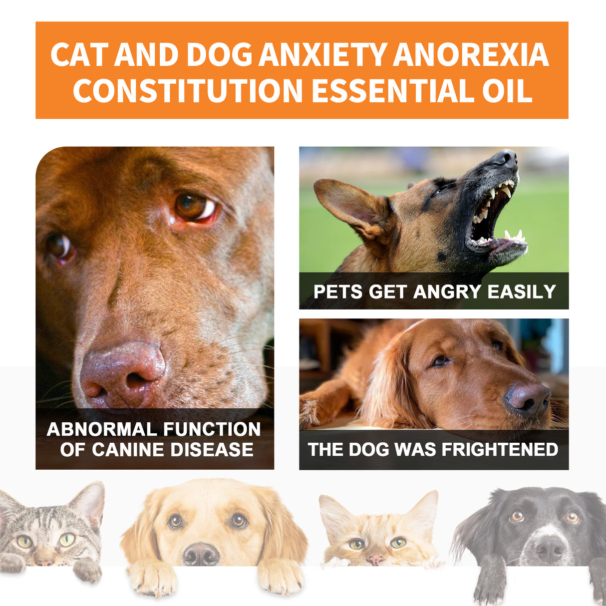 Cat And Dog Care Essence, Pet Cat And Dog Enhance Health Eat Care Sesame Seed Oil Essence - V.I.P Digital Presence