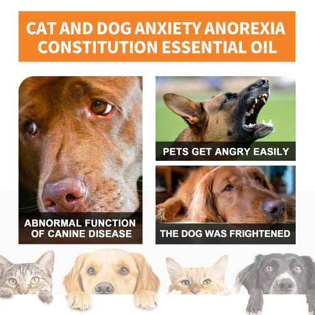 Cat And Dog Care Essence, Pet Cat And Dog Enhance Health Eat Care Sesame Seed Oil Essence - V.I.P Digital Presence