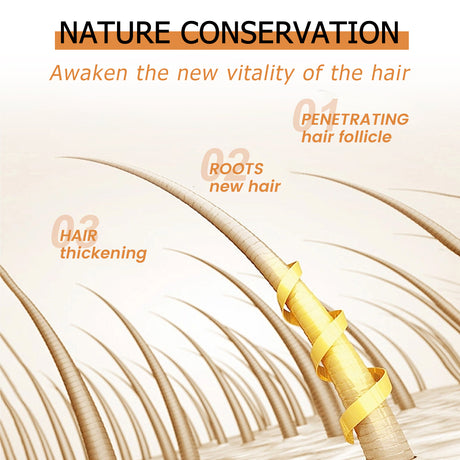 Mypa Ampoule, Strengthen And Repair Hair, Prevent Hair Loss, Strengthen Hair Root And Thicken Hair And Scalp Massage Solution - V.I.P Digital Presence
