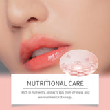 Moisturizing Lip Care Moisturizing And Hydrating Skin Moisturizing And Moisturizing Lip Care - V.I.P Digital Presence