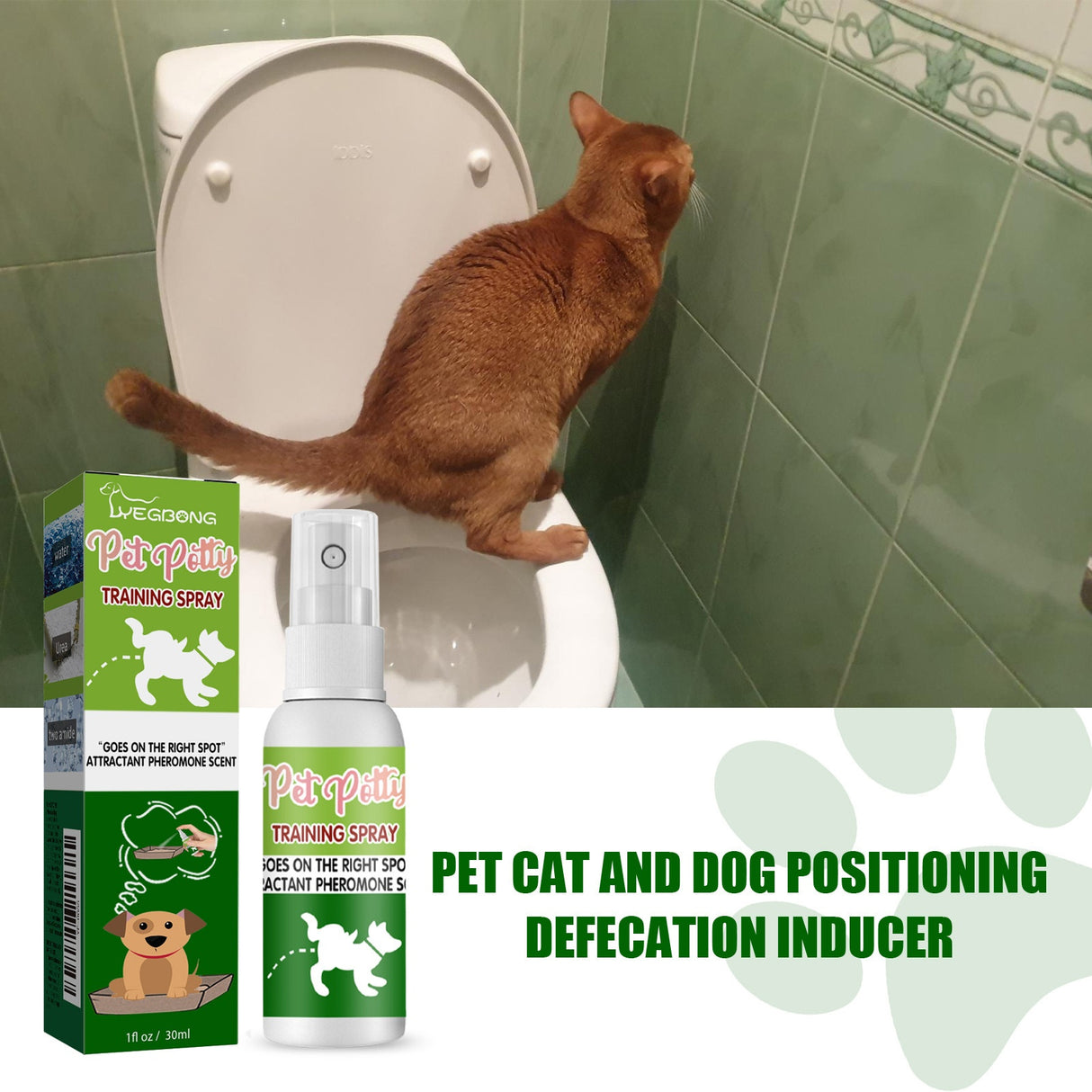 Pet Location Training Agent for Toilet Induction and Waste Positioning - V.I.P Digital Presence
