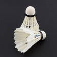 12pcs/lot Badminton - V.I.P Digital Presence