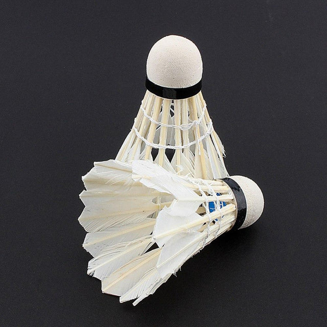 12pcs/lot Badminton - V.I.P Digital Presence