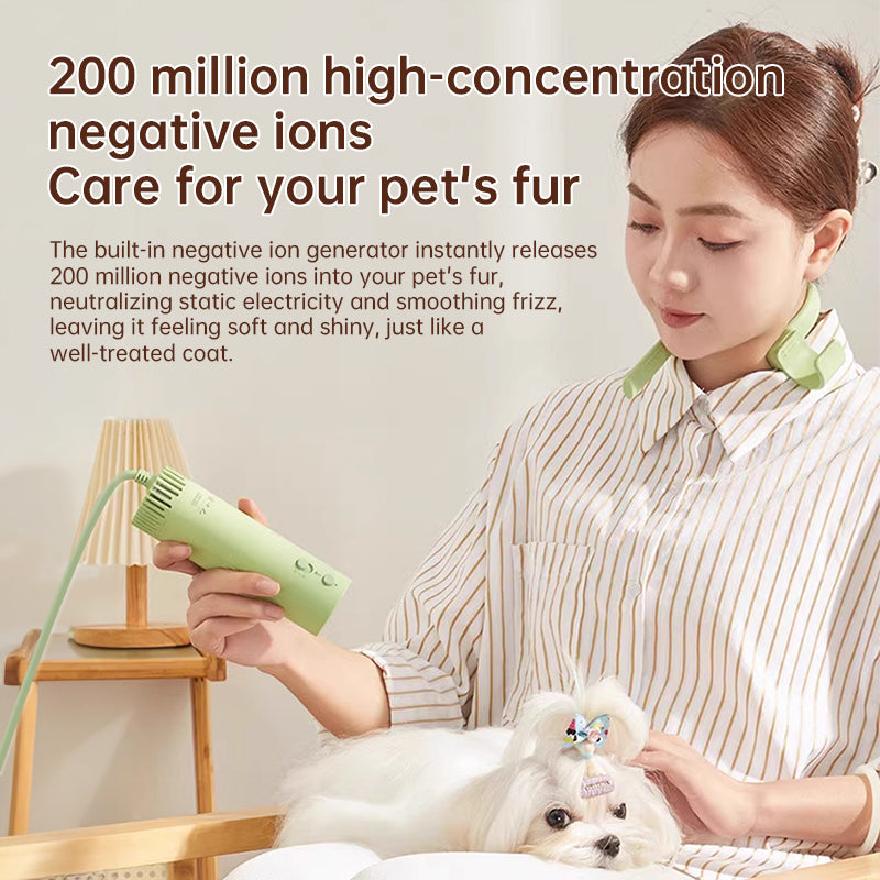 Pet hair dryer for pet care: high power, quiet, energy-saving, dog grooming, fast drying. Only suitable for 220V countries. - V.I.P Digital Presence