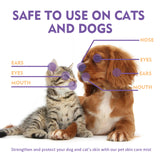 Pet Skin Relief Spray, Relieves Dog And Cat Skin Itchiness Eliminates Mites Cleaning Care Spray - V.I.P Digital Presence
