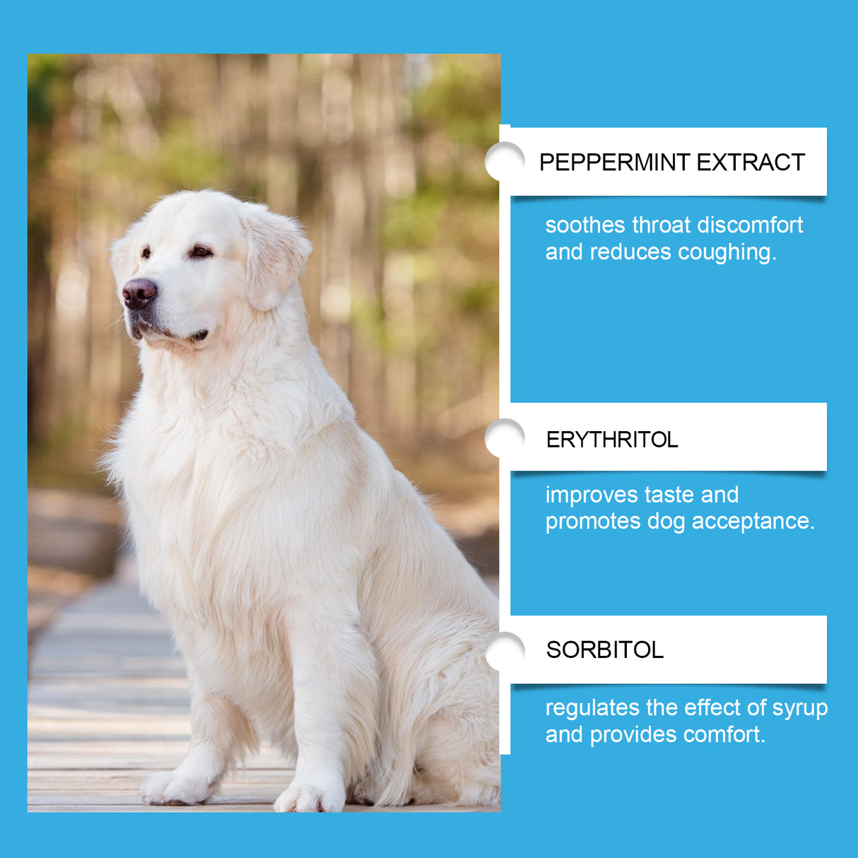 Dog Syrup, Pet Dogs Absorb Nutrition Care Health Special Maintenance Supplement Syrup - V.I.P Digital Presence