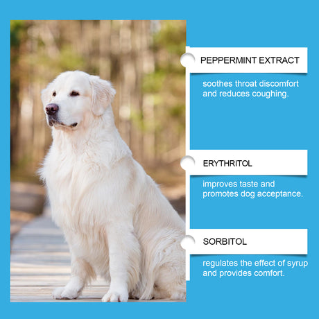 Dog Syrup, Pet Dogs Absorb Nutrition Care Health Special Maintenance Supplement Syrup - V.I.P Digital Presence