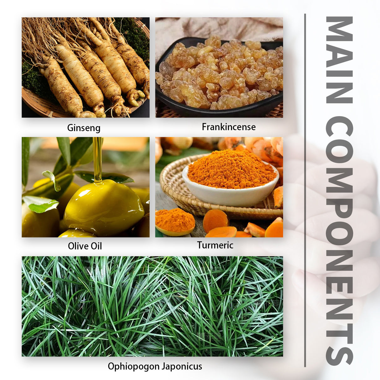 Body Care Patch, Men's Body Health Care Belly Button Patch Warm Kidney, Protect Yang And Benefit Kidney Patch - V.I.P Digital Presence