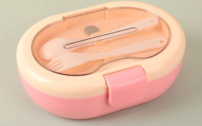 Modern simple food grade microwaveable lunch box with compartments - V.I.P Digital Presence