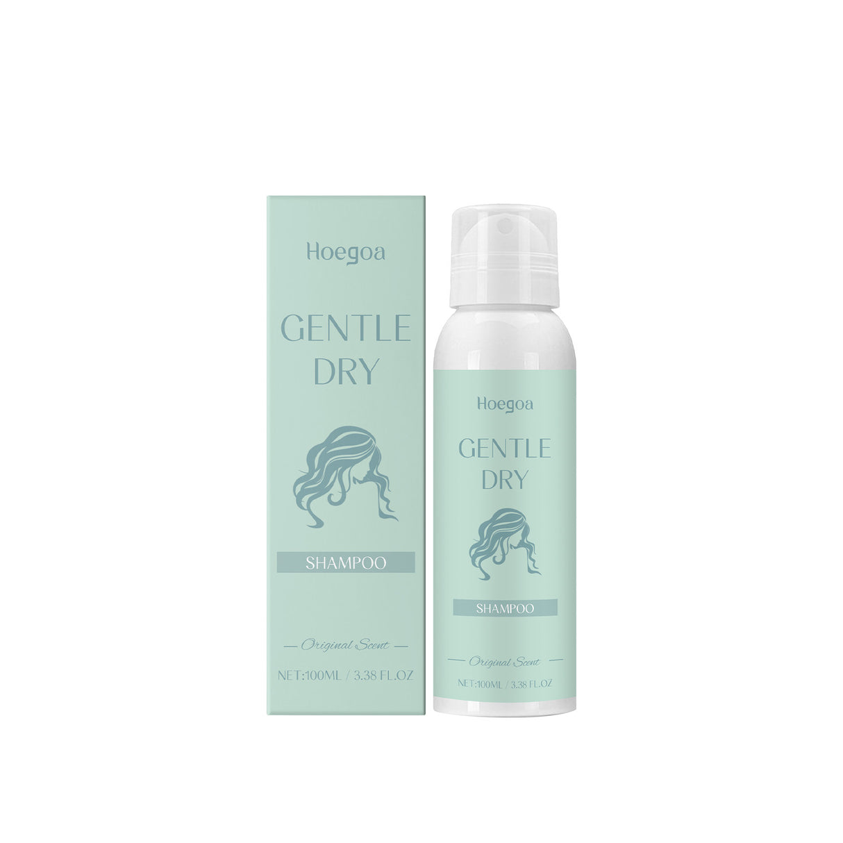 Leave-In Dry Hair Spray Dry Cleaning Spray Oil Control Volumizing Glossy Hair Easily Manage Hair - V.I.P Digital Presence
