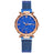 Rose Gold Women Watch Top Brand Luxury Magnetic Starry Sky Lady Wrist Watch Mesh Female Clock For Dropship relogio feminino - V.I.P Digital Presence
