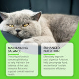 Cats With Probiotic Drops, Care For Cats Health And Vitality Care Absorb Nutritional Supplements - V.I.P Digital Presence