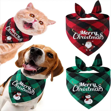 Christmas Day Border Protection Pet Small, Medium, and Large Dogs, Dogs, Cats, Teddy Triangular Towels, Water Jars - V.I.P Digital Presence