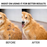 Pet Hair Growth Spray for Cats and Dogs - Hair Care Treatment for Damaged Follicles and Hair Loss - V.I.P Digital Presence