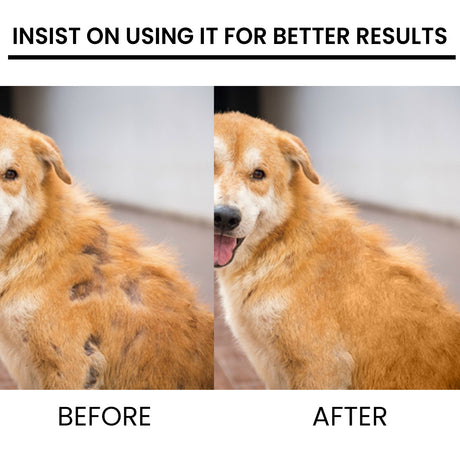 Pet Hair Growth Spray for Cats and Dogs - Hair Care Treatment for Damaged Follicles and Hair Loss - V.I.P Digital Presence