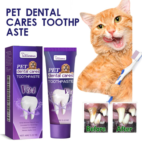 Pet V34 Toothpaste, Pet Clean Bad Breath Tartar Care Gum Care Toothpaste - V.I.P Digital Presence