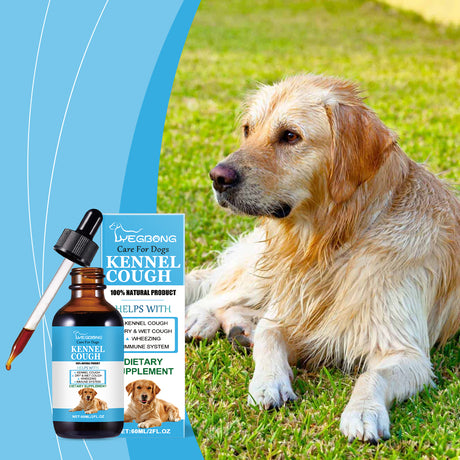 Dog Syrup, Pet Dogs Absorb Nutrition Care Health Special Maintenance Supplement Syrup - V.I.P Digital Presence