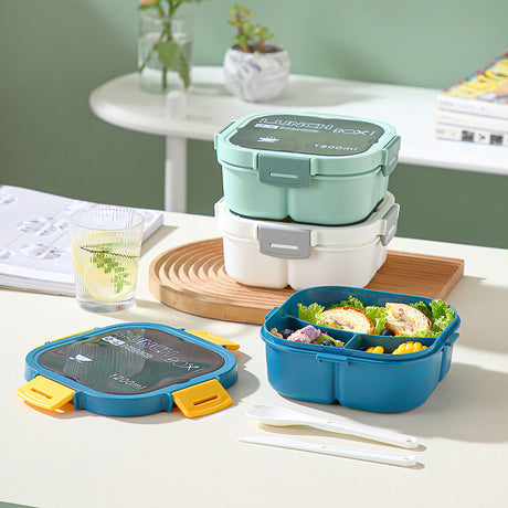 Classic simple microwaveable portable salad box lunch box with cutlery - V.I.P Digital Presence