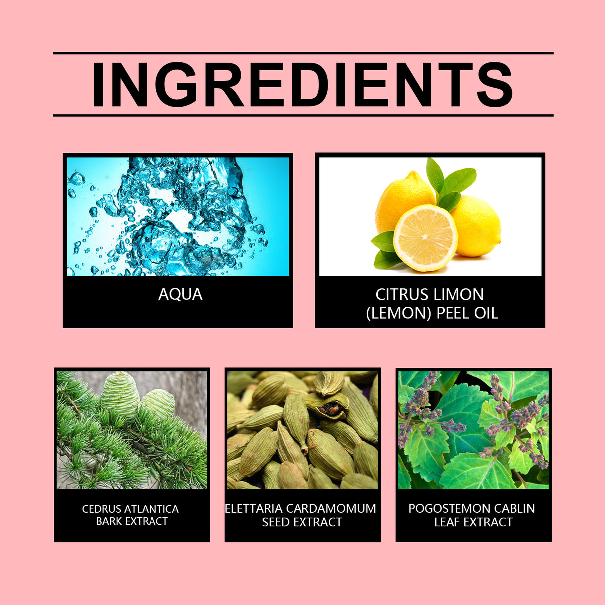 Rich Cardamom Lemon Charming Perfume Rich Charming Perfume Cardamom Lemon Fresh Unique Charm Rich Fragrance - V.I.P Digital Presence