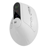M2 Mouse
