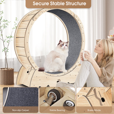 Cat Exercise Wheel for Indoor Cats, Cat Running Wheel with Carpeted Runway 37" Natural Wood Color - V.I.P Digital Presence