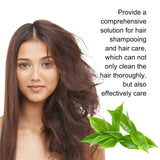 Shampoo And Conditioner Set - V.I.P Digital Presence