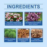 Foot Care Spray Soothing Dry Feet Mild Moisturizing Foot Care Spray - V.I.P Digital Presence