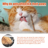 Pet Foot Care Cream For Animals, Cats, Dogs And Paws Foot Care Cream For Soles And Pads - V.I.P Digital Presence