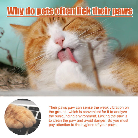 Pet Foot Care Cream For Animals, Cats, Dogs And Paws Foot Care Cream For Soles And Pads - V.I.P Digital Presence