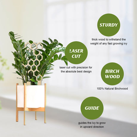 Garden Plant Trellis Home Wooden Pot Climbing Pergola Balcony Decoration Support Flower Arrangement Supports - V.I.P Digital Presence