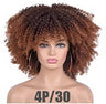 Female Hair African Small Curly Hair Explosion Head Black Chemical Fiber Wig Full Head Set - V.I.P Digital Presence