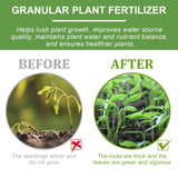 Plant Nutrient, Flower Pot Lawn Green Leaf Plant Fertilizer Root Growth Nutrient - V.I.P Digital Presence