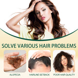 Ginger Hair Ointment, Care For Hair Follicles, Strengthen Hair, Moisturize Hair, Prevent Hair Breakage And Dense Hair Care Cream - V.I.P Digital Presence