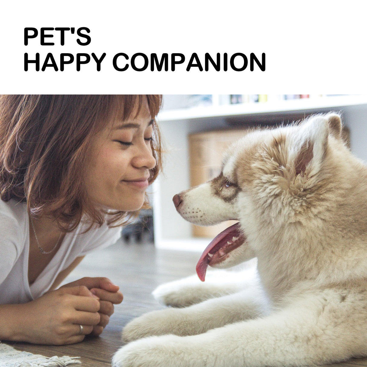 Pet Care Oil, Relieve The Pain Of Pet Bones And Joints Body Muscle Care Essential Oil - V.I.P Digital Presence