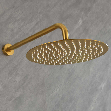 Shower System with Shower Head  Hand Shower Slide Bar Bodysprays, Shower Arm  Hose Valve Trim  and Lever Handles - V.I.P Digital Presence