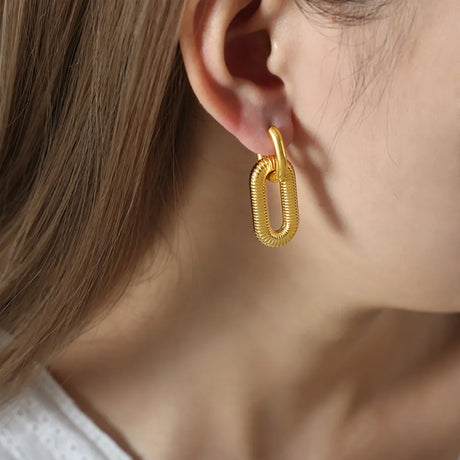 Titanium steel Dangle Earrings - V.I.P Digital Presence