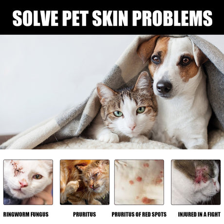 Cat Ringworm Spray, Pet Cats Anti-Mite Cat Moss Care Skin External Use Anti-Itch Spray - V.I.P Digital Presence