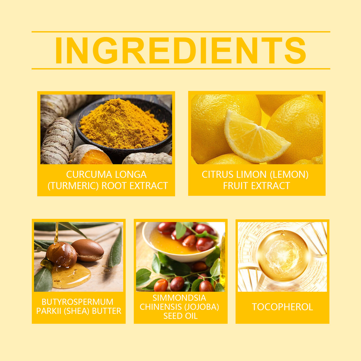 Lemon and Ginger Lip Balm Moisturize and Moisturize with Lemon and Prevent dry and cracking Nourishing Lip Balm - V.I.P Digital Presence