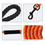 Extended Traction Rope 10m 20m 30m Recall Training Camping Backyard Dog Walking Rope Reflective Tracking Dog Leash - V.I.P Digital Presence