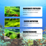 Algae Removal, Aquarium Cleaning Agent Algae Removal Moss Fish Tank Moss Removal Agent Algae Removal From Green Water - V.I.P Digital Presence