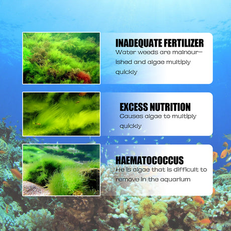 Algae Removal, Aquarium Cleaning Agent Algae Removal Moss Fish Tank Moss Removal Agent Algae Removal From Green Water - V.I.P Digital Presence